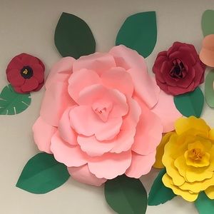 Meet your Posher, Robyn